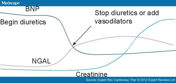 Biomarkers in AKI With Cardiorenal Syndrome - Page 3