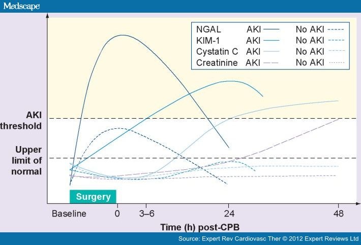 Biomarkers in AKI With Cardiorenal Syndrome - Page 5