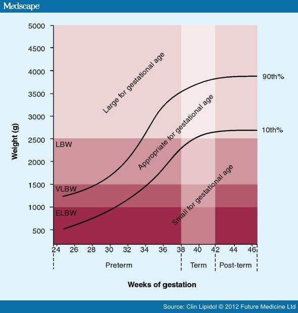 Effect of Preterm Birth on Adiposity and Metabolic Pathways - Page 3