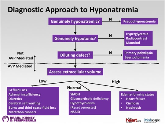 The Different Faces of Hyponatremia: Multifaceted Patients and ...