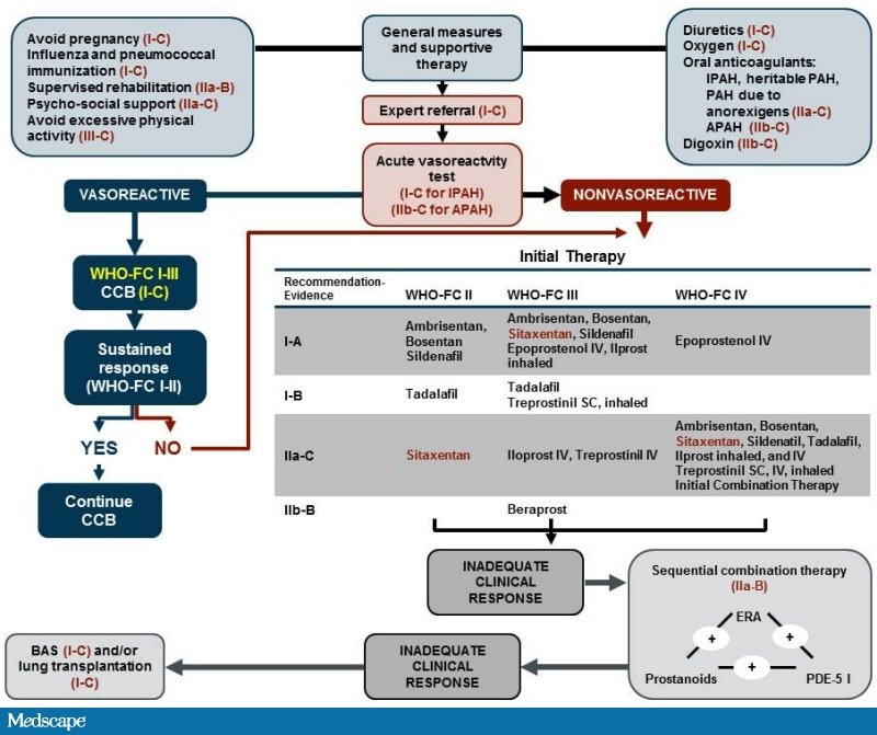 Objectively Assessing Treatment Response in PAH: Identifying Measures ...