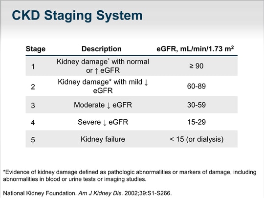 Identifying, Targeting, and Managing Diabetic Nephropathy (Transcript)