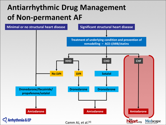 Practical Application Of The 2012 Esc Guidelines Update On