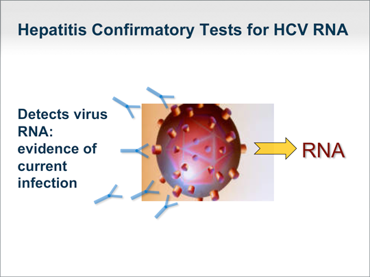 your-patient-tests-positive-for-hcv-now-what-transcript