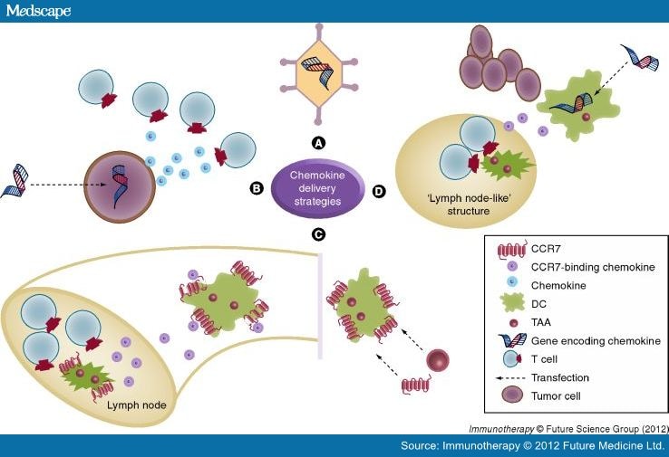 Chemokine-Based Immunotherapy - Page 4