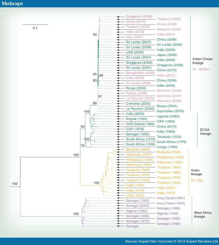 Chikungunya Virus And Prospects For A Vaccine Page 5