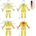 Body Mapping of Sweating Patterns in Athletes