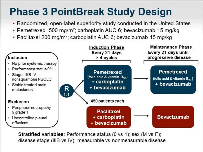 Lessons From the PointBreak Trial: What Does Maintenance Therapy Hold ...