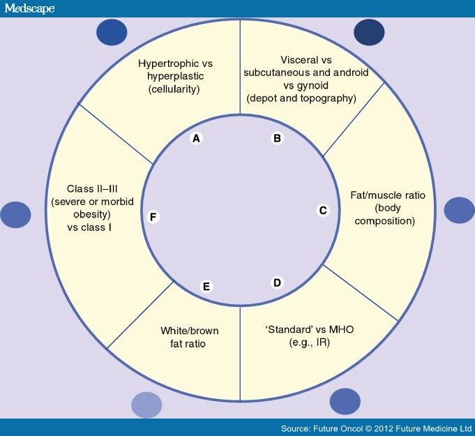 Cancer And Heterogeneity Of Obesity