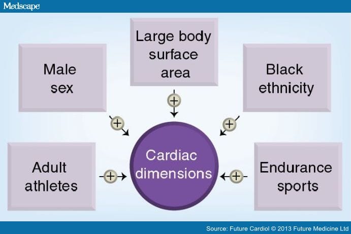 Exercise and Heart Disease - Page 5