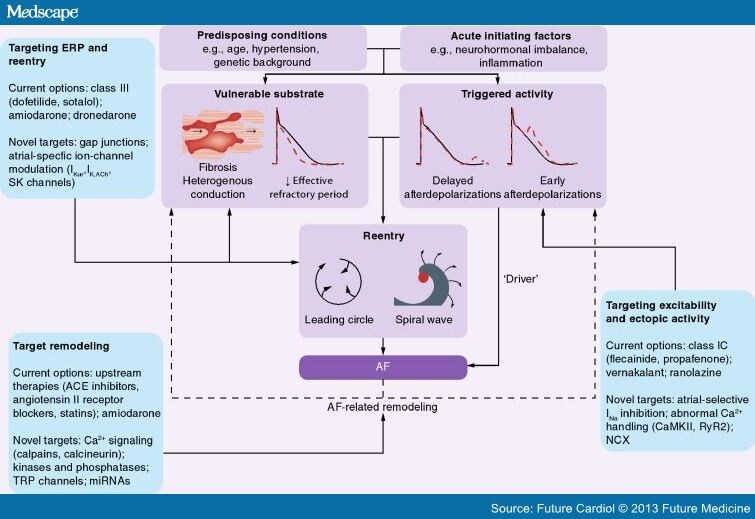 New Directions in Antiarrhythmic Drug Therapy for AF