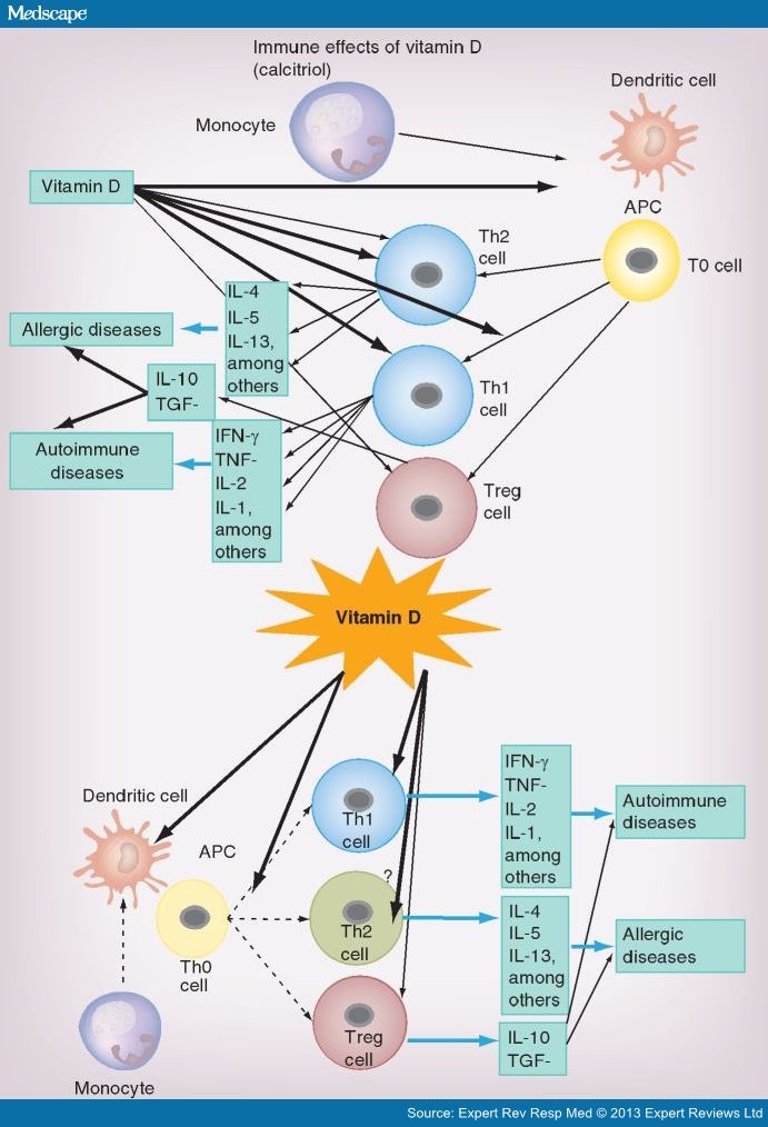 Effects Of Vitamin D On Immune Disorders 3880