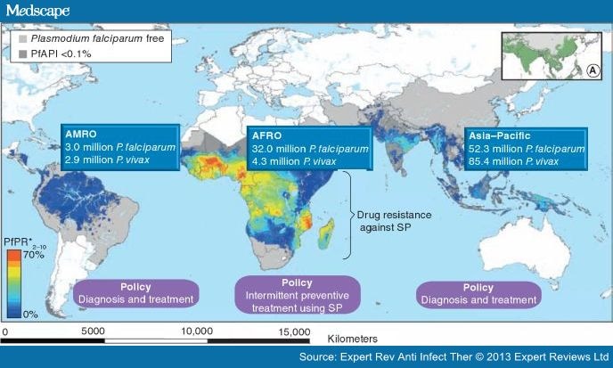 Malaria In Pregnancy