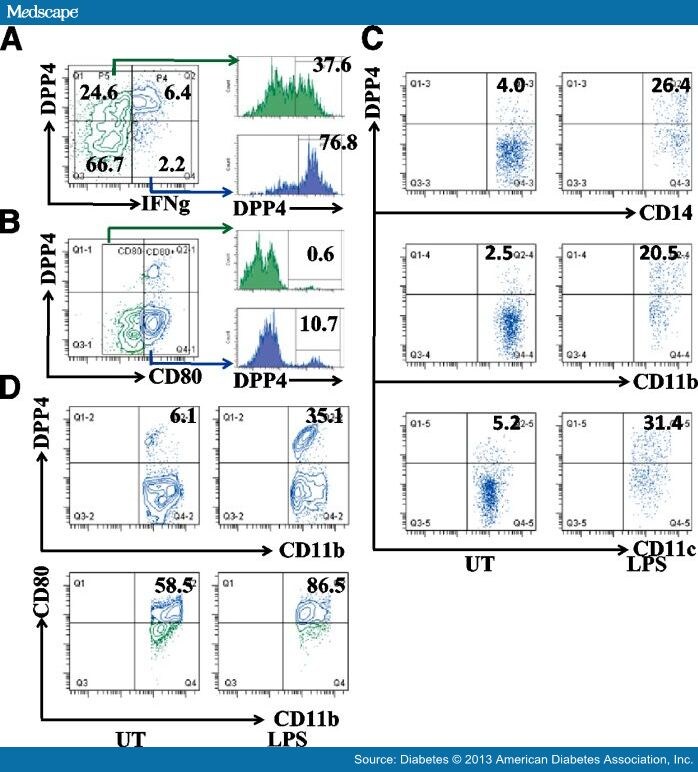 Role for DPP4 in Obesity-Induced Visceral Inflammation - Page 3