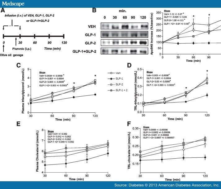 GLP-1 and GLP-2 and Intestinal Lipoprotein Production - Page 3