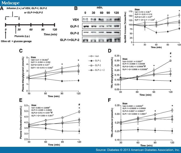 GLP-1 and GLP-2 and Intestinal Lipoprotein Production - Page 3