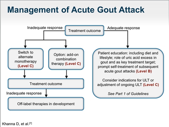 Deconstructing the 2012 ACR Gout Management Guidelines (Transcript)