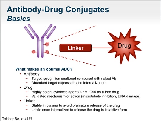 Mechanisms and Actions of HER2-Targeting Agents in Breast Cancer ...