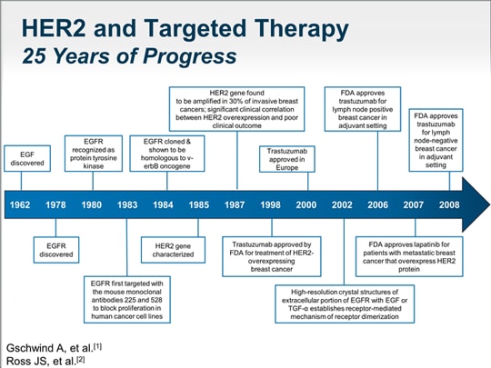 Mechanisms And Actions Of HER2-Targeting Agents In Breast Cancer ...