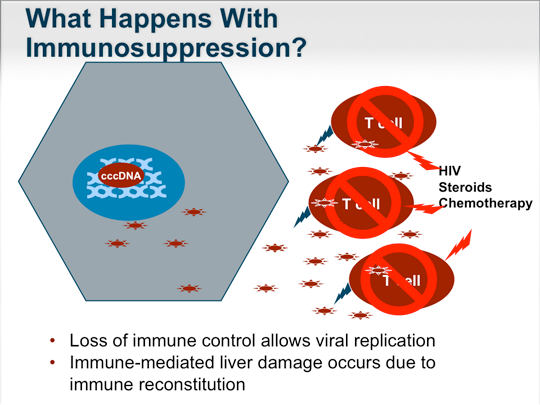 Recognizing The Many Faces Of Chronic Hepatitis B In The United States ...