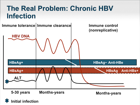 Recognizing The Many Faces Of Chronic Hepatitis B In The United States ...