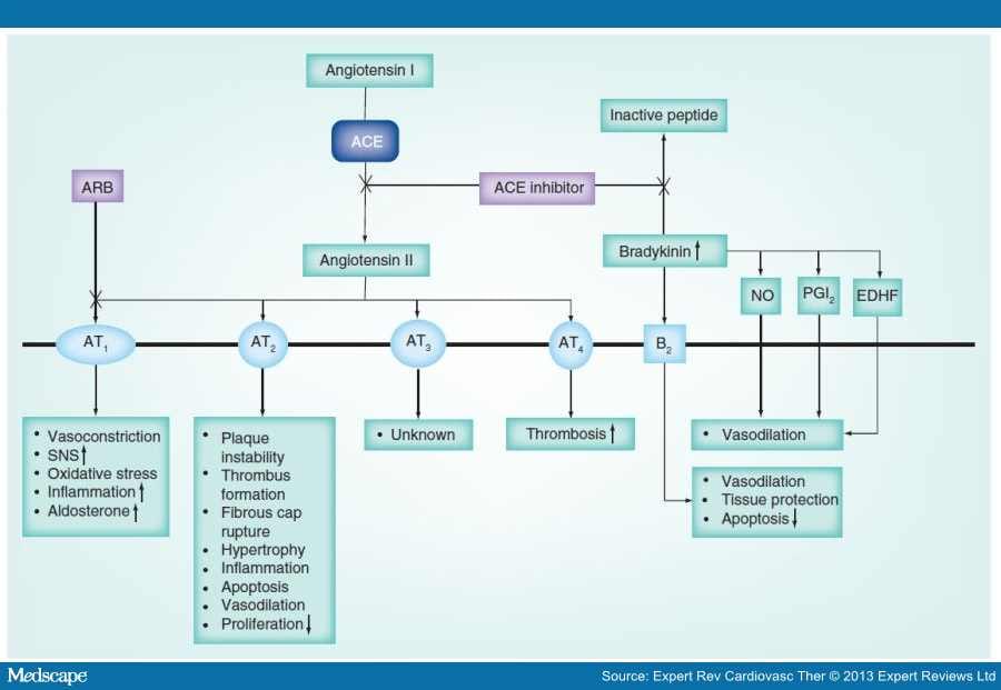 Impact of ACE Inhibition on Mortality in Hypertension Trials - Page 4