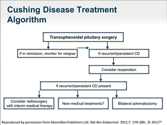 Cushing Disease: A Multidisciplinary Treatment Update