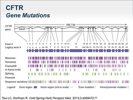 Connecting the Dots: CFTR Mutational Defects and Implications for CF ...