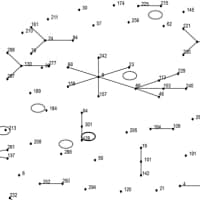 Emergence of Streptococcus Equi Subspecies Zooepidemicus Infections in ...