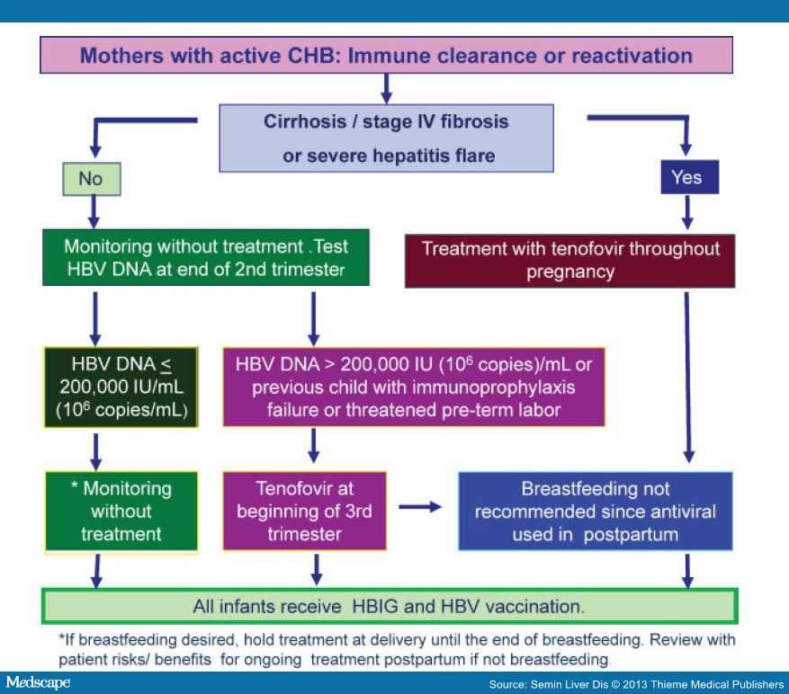 Antiviral Therapy For Chronic Hepatitis B In Pregnancy - Page 9