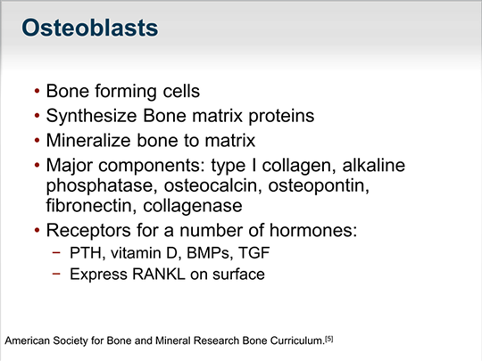 The State of the Art in Osteoporosis: Advancing Care Through Improved ...