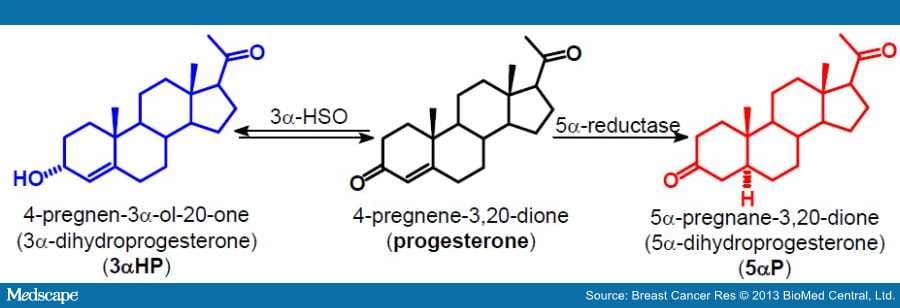 Progesterone Metabolites Regulate Breast Cell Tumors