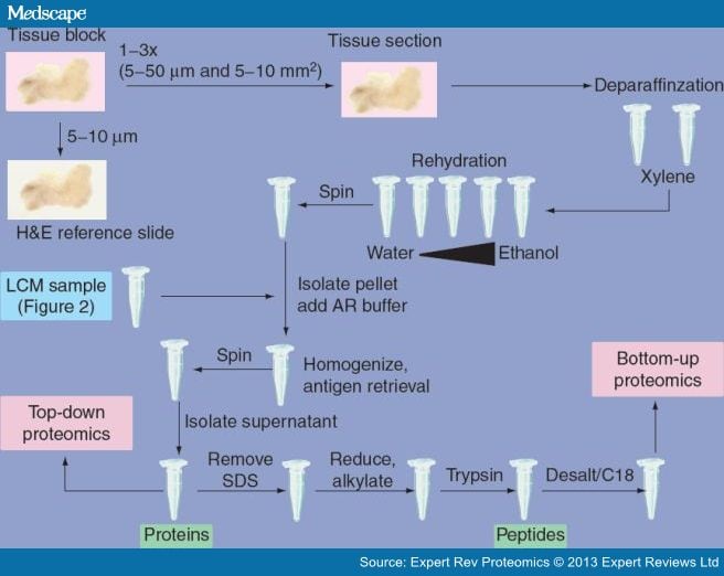 improving-the-proteomic-analysis-of-formalin-fixed-tissue