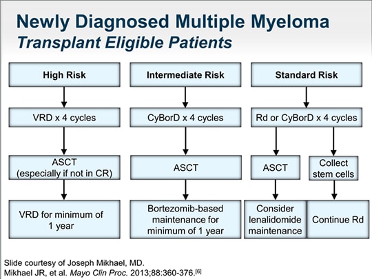 Therapy for Newly Diagnosed Multiple Myeloma: Integrating Advances into ...