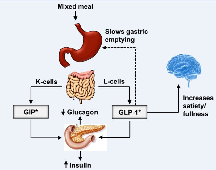 Incretin Based Therapy In Type 2 Diabetes Patient Cases