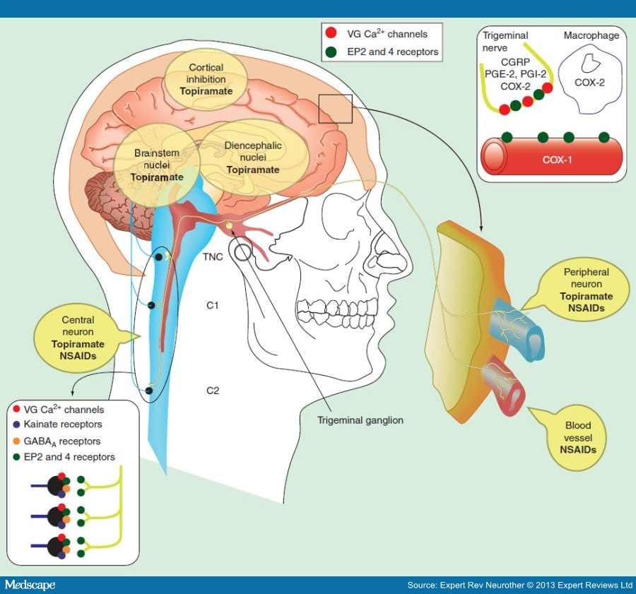Targeting the Trigeminocervical Complex in Migraine