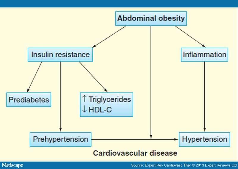 Prehypertension and the Cardiometabolic Syndrome - Page 4