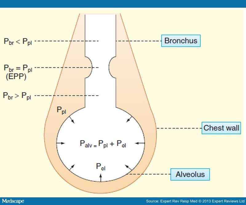 Advances in Airway Clearance Technologies for COPD