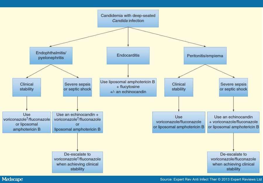 Use of Echinocandins in the Treatment of Candida Infections - Page 5