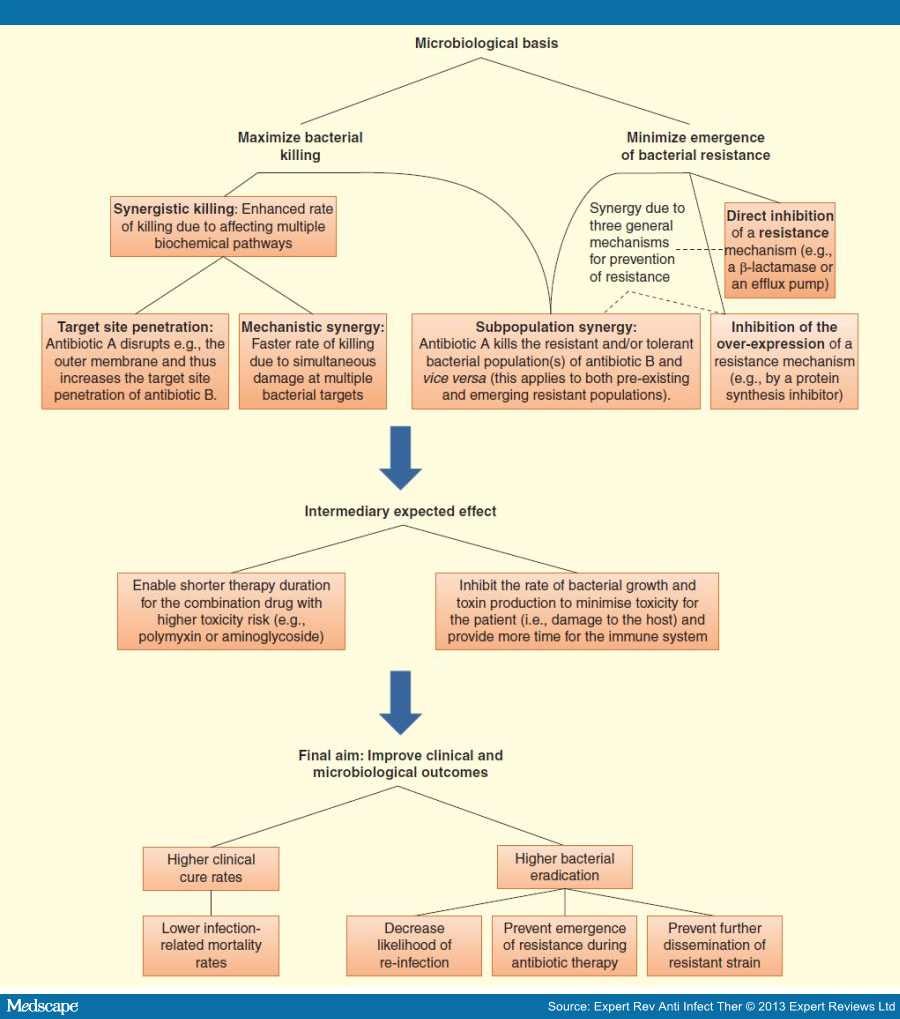 therapy-for-carbapenem-resistant-gram-negative-bacteria