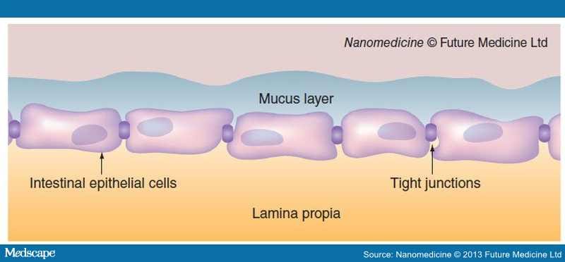 Strategies For Improving Mucosal Drug Delivery - Page 2