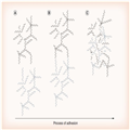 Strategies For Improving Mucosal Drug Delivery - Page 4