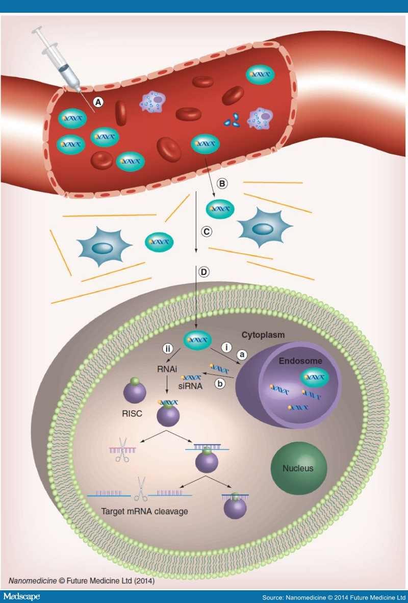 Lipid-Based Nanoparticles in the Systemic Delivery of siRNA