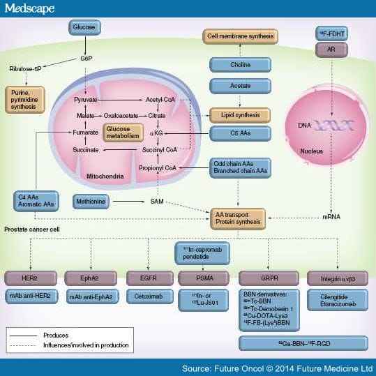 Molecular Imaging in Recurrent Prostate Cancer - Page 5