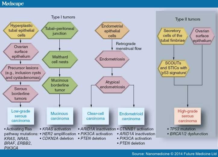 Profil estimare risc cancer ovarian (HE4, CA , scor ROMA) - Synevo - Ovarian cancer medscape