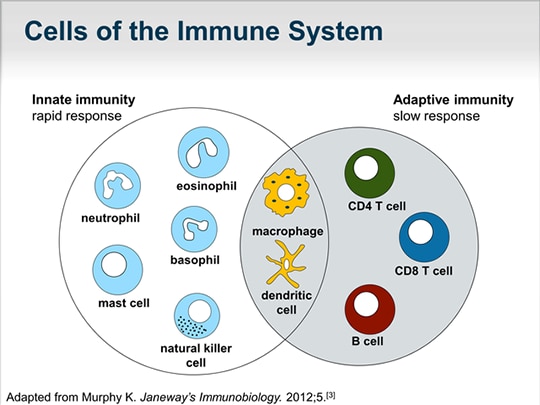 Immune Checkpoint Inhibition: Unfettered T Cells Can Control and ...