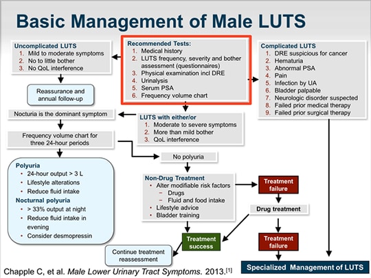 Initial Evaluation and Treatment of Male Lower Urinary Tract Symptoms  (Transcript)