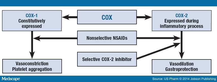 Cardiovascular Risk With Nsaids And Cox 2 Inhibitors