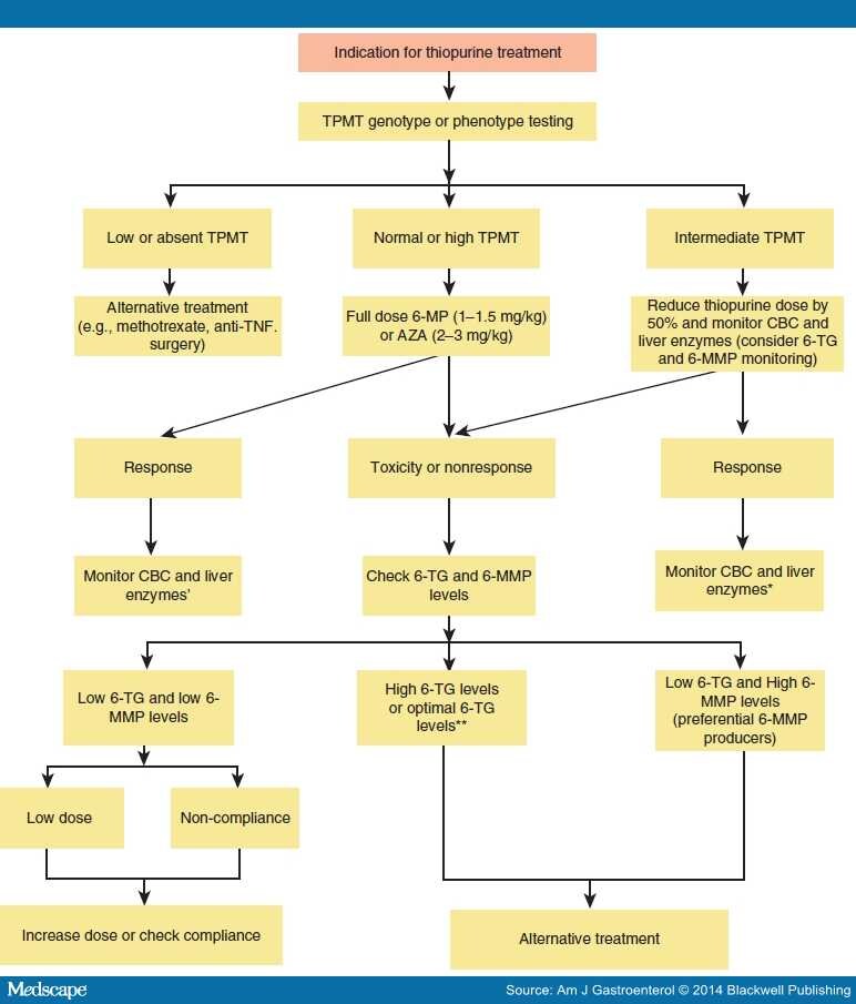 A Personalized Medicine Approach to the Management of IBD