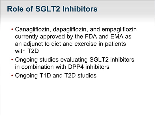 The Kidney And Glucose Homeostasis: Why Target SGLT2 In Diabetes ...